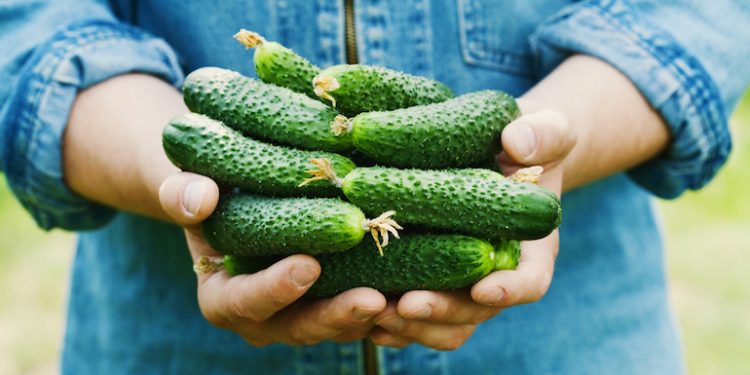 cucumbers healthy skin hair nails
